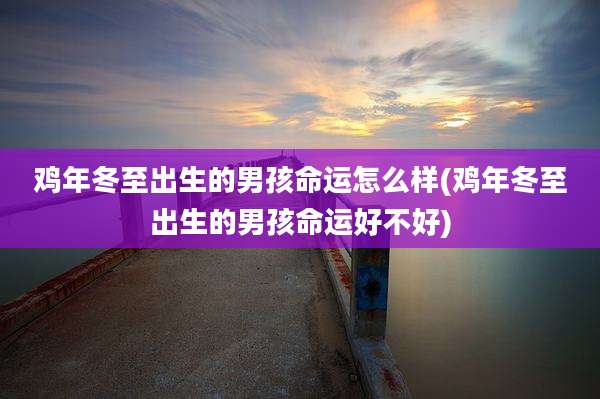 鸡年冬至出生的男孩命运怎么样(鸡年冬至出生的男孩命运好不好)