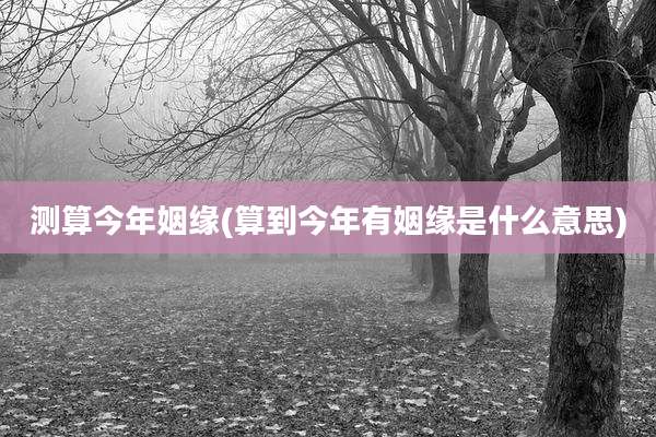 测算今年姻缘(算到今年有姻缘是什么意思)