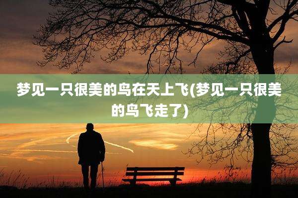 梦见一只很美的鸟在天上飞(梦见一只很美的鸟飞走了)