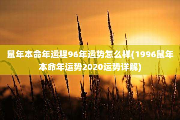 鼠年本命年运程96年运势怎么样(1996鼠年本命年运势2020运势详解)