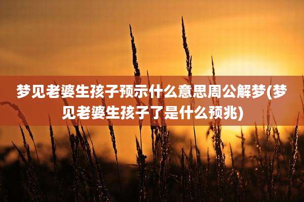 梦见老婆生孩子预示什么意思周公解梦(梦见老婆生孩子了是什么预兆)