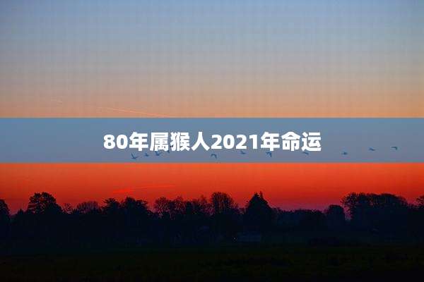 80年属猴人2021年命运
