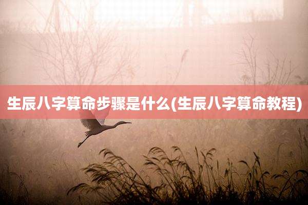 生辰八字算命步骤是什么(生辰八字算命教程)