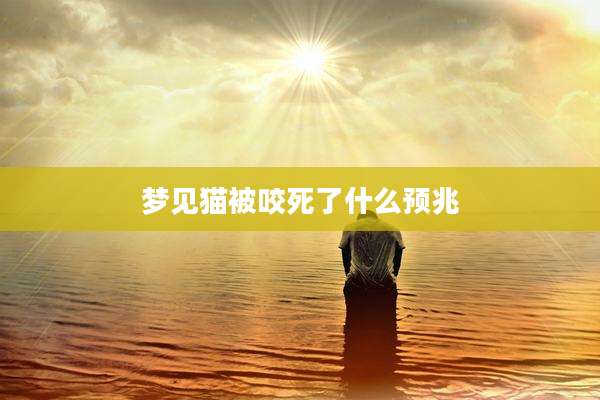梦见猫被咬死了什么预兆