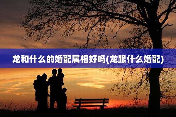 龙和什么的婚配属相好吗(龙跟什么婚配)