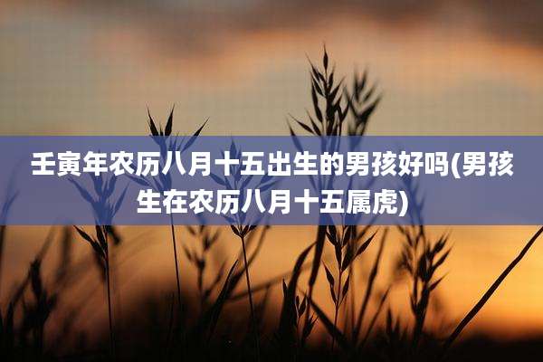 壬寅年农历八月十五出生的男孩好吗(男孩生在农历八月十五属虎)