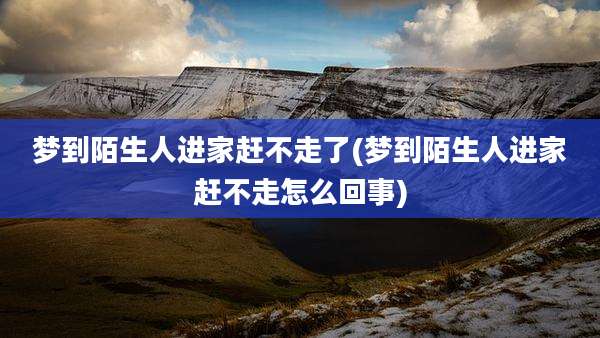 梦到陌生人进家赶不走了(梦到陌生人进家赶不走怎么回事)