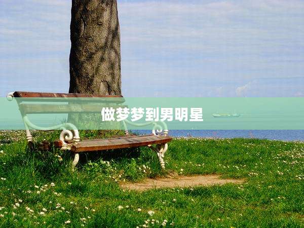 做梦梦到男明星