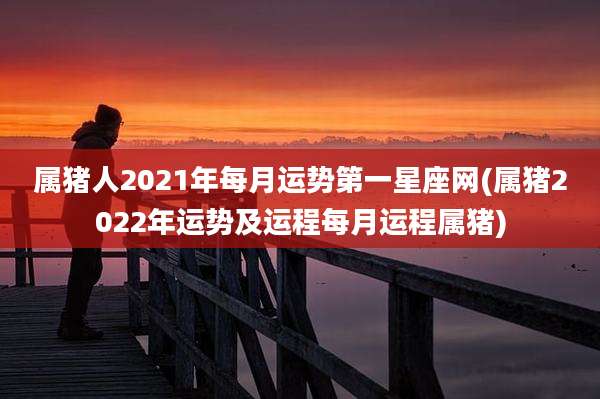 属猪人2021年每月运势第一星座网(属猪2022年运势及运程每月运程属猪)