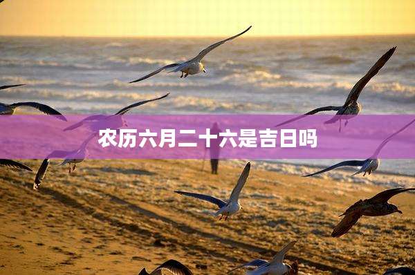 农历六月二十六是吉日吗