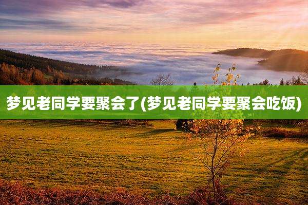 梦见老同学要聚会了(梦见老同学要聚会吃饭)