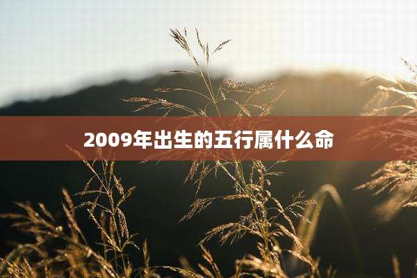 2009年出生的五行属什么命