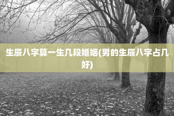 生辰八字算一生几段婚姻(男的生辰八字占几好)