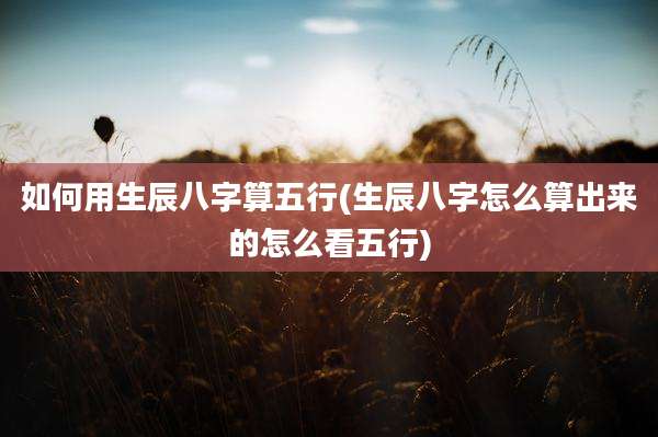 如何用生辰八字算五行(生辰八字怎么算出来的怎么看五行)