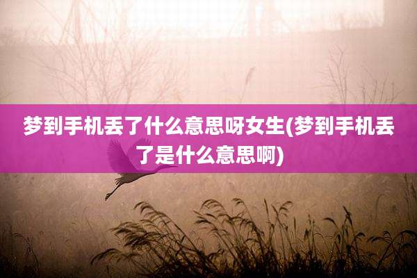 梦到手机丢了什么意思呀女生(梦到手机丢了是什么意思啊)