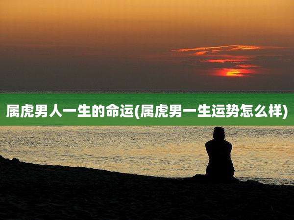 属虎男人一生的命运(属虎男一生运势怎么样)