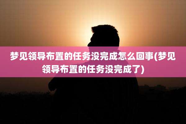 梦见领导布置的任务没完成怎么回事(梦见领导布置的任务没完成了)