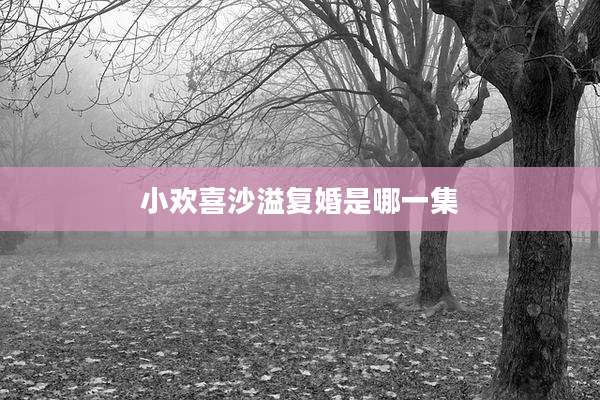 小欢喜沙溢复婚是哪一集