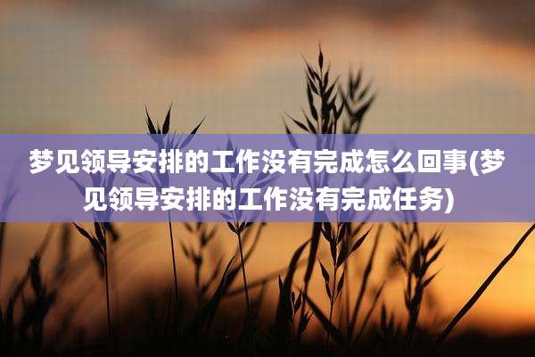 梦见领导安排的工作没有完成怎么回事(梦见领导安排的工作没有完成任务)