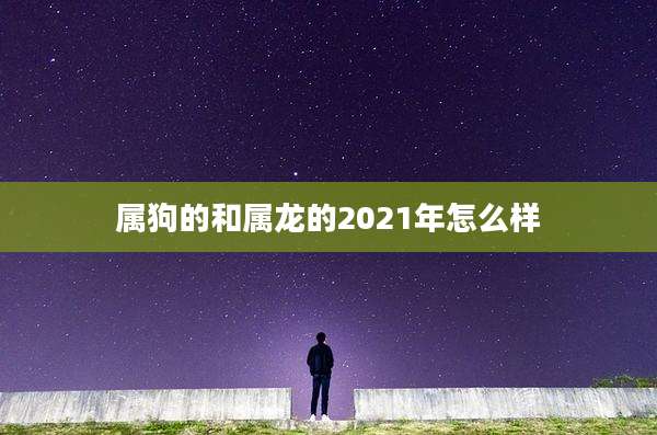属狗的和属龙的2021年怎么样