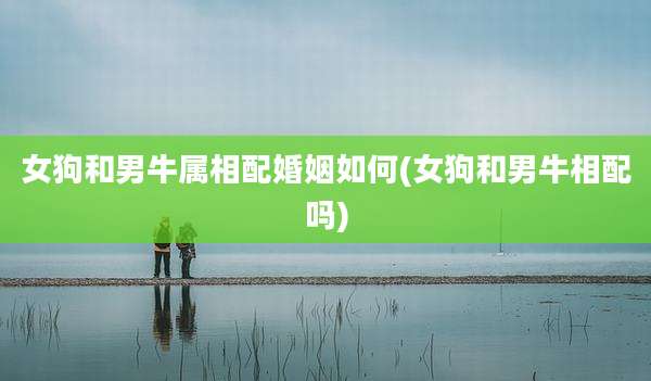 女狗和男牛属相配婚姻如何(女狗和男牛相配吗)