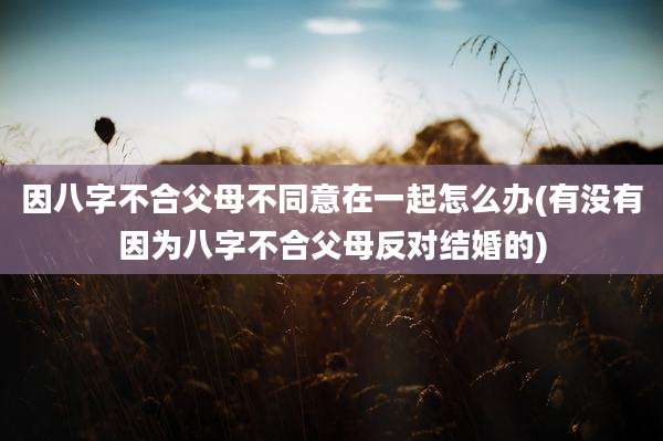 因八字不合父母不同意在一起怎么办(有没有因为八字不合父母反对结婚的)