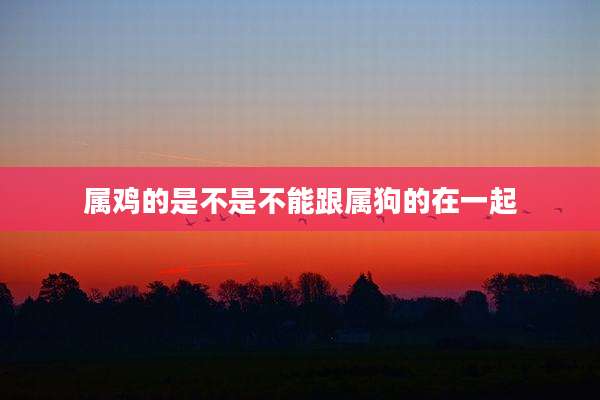 属鸡的是不是不能跟属狗的在一起