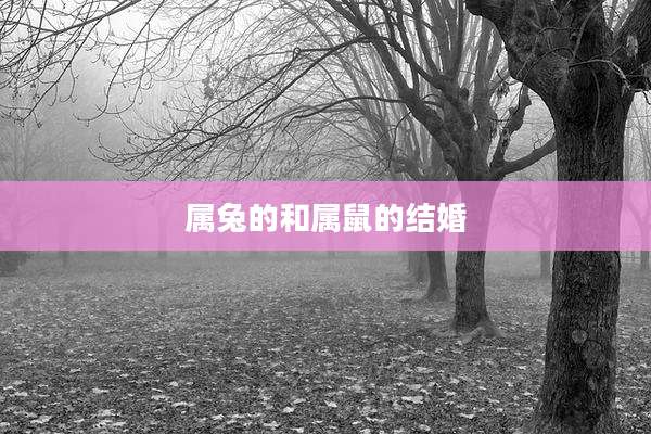 属兔的和属鼠的结婚