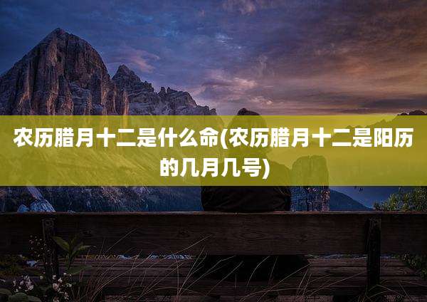 农历腊月十二是什么命(农历腊月十二是阳历的几月几号)