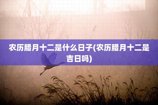 农历腊月十二是什么日子(农历腊月十二是吉日吗)