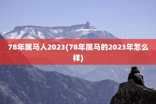 78年属马人2023(78年属马的2023年怎么样)