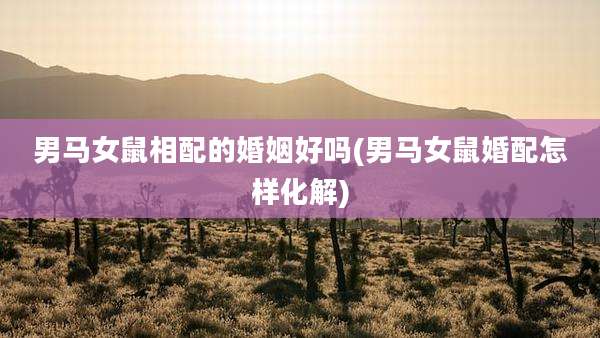 男马女鼠相配的婚姻好吗(男马女鼠婚配怎样化解)