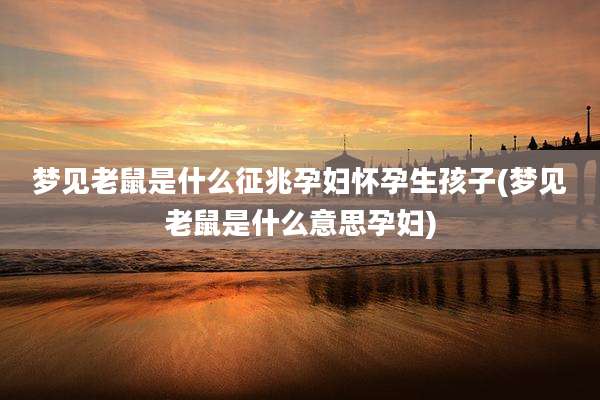 梦见老鼠是什么征兆孕妇怀孕生孩子(梦见老鼠是什么意思孕妇)