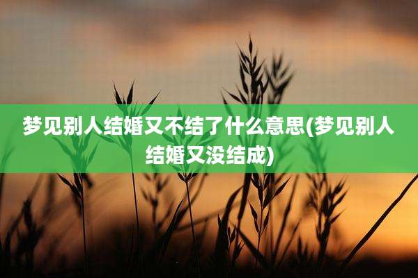 梦见别人结婚又不结了什么意思(梦见别人结婚又没结成)