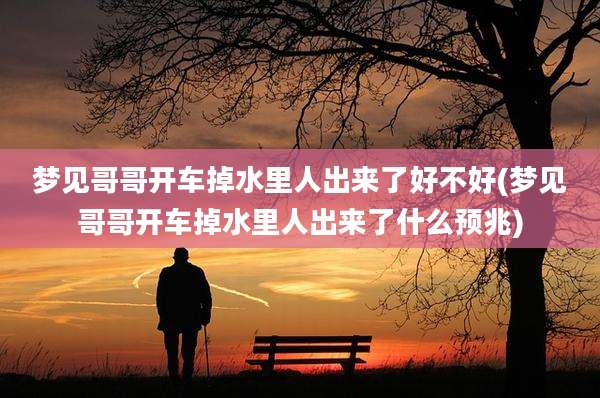 梦见哥哥开车掉水里人出来了好不好(梦见哥哥开车掉水里人出来了什么预兆)