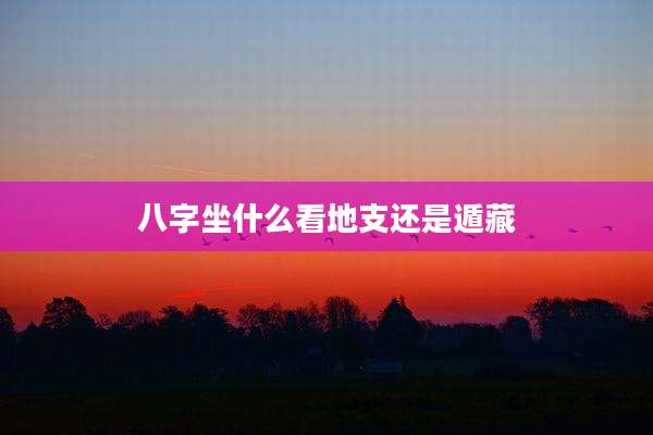 八字坐什么看地支还是遁藏