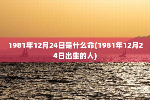1981年12月24日是什么命(1981年12月24日出生的人)