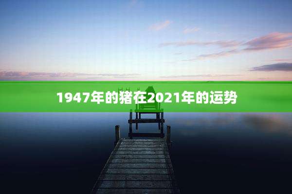 1947年的猪在2021年的运势