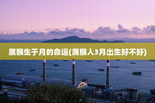 属猴生于月的命运(属猴人3月出生好不好)