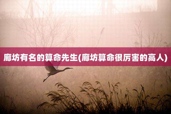 廊坊有名的算命先生(廊坊算命很厉害的高人)