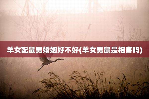 羊女配鼠男婚姻好不好(羊女男鼠是相害吗)