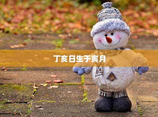 丁亥日生于寅月