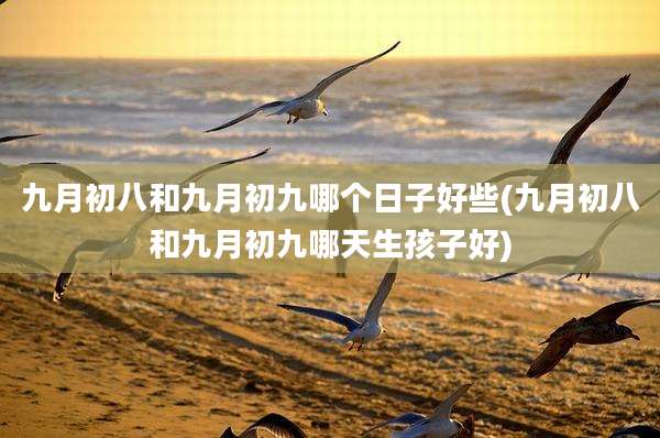 九月初八和九月初九哪个日子好些(九月初八和九月初九哪天生孩子好)