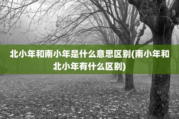 北小年和南小年是什么意思区别(南小年和北小年有什么区别)