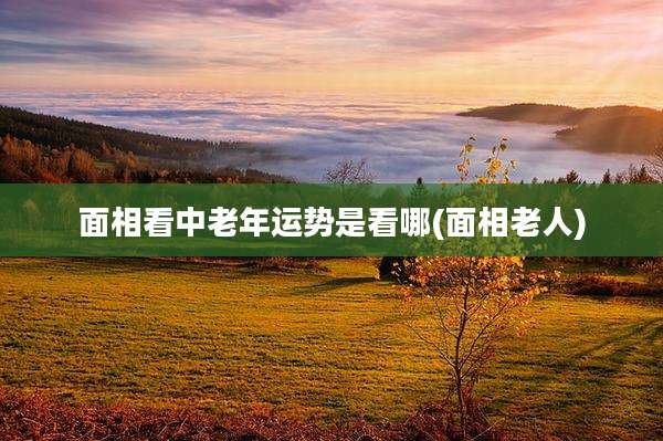 面相看中老年运势是看哪(面相老人)