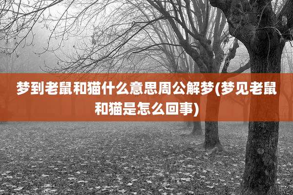 梦到老鼠和猫什么意思周公解梦(梦见老鼠和猫是怎么回事)