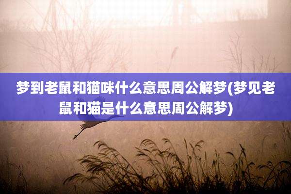 梦到老鼠和猫咪什么意思周公解梦(梦见老鼠和猫是什么意思周公解梦)