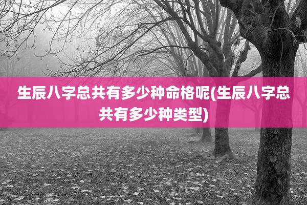 生辰八字总共有多少种命格呢(生辰八字总共有多少种类型)