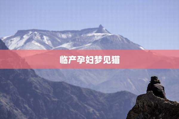 临产孕妇梦见猫
