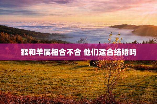 猴和羊属相合不合 他们适合结婚吗